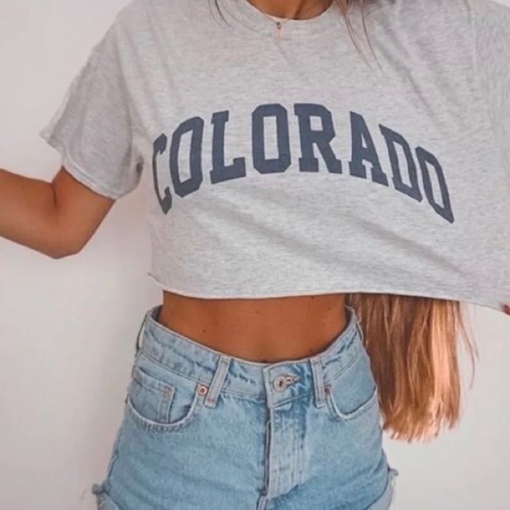 Brandy Melville Crop Top Tee🌺